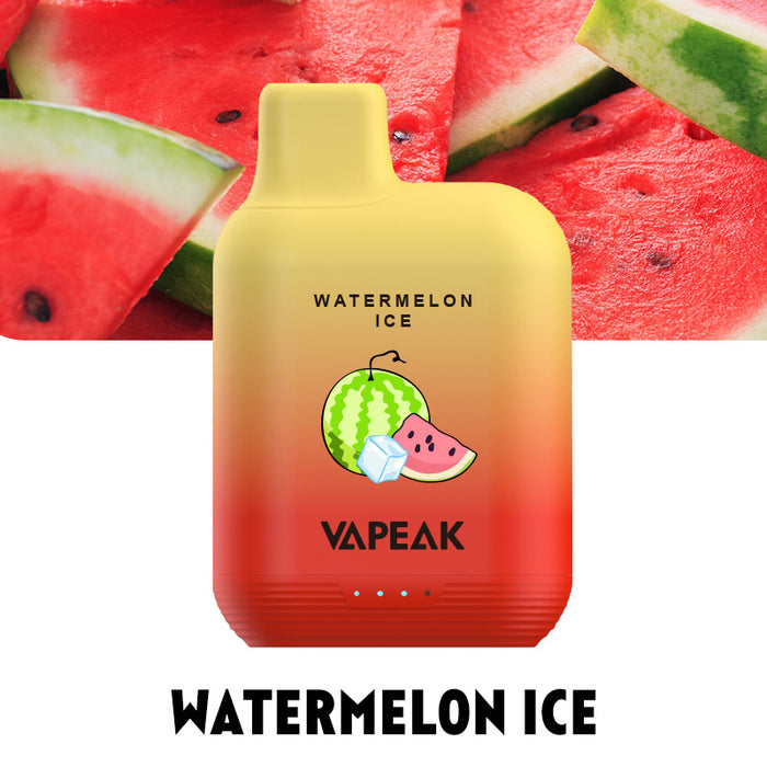 VAPEAK GRAND 5000 Puffs Disposable